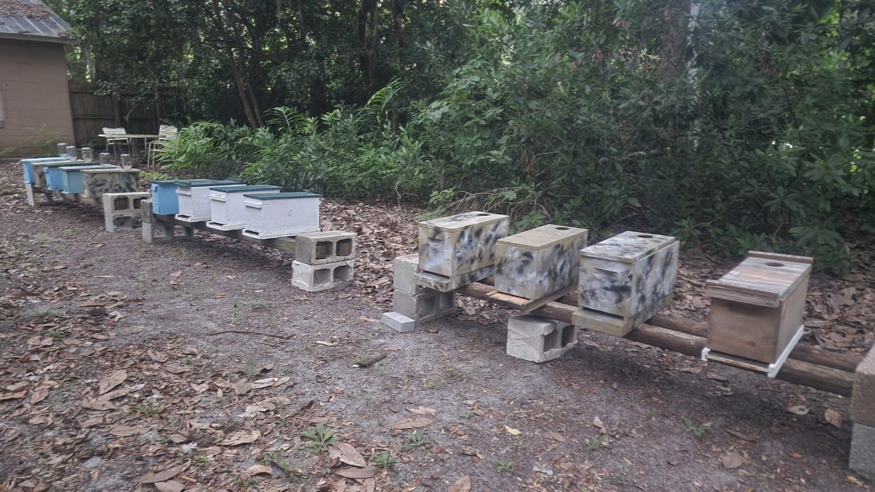 Our hives