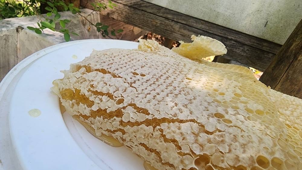 Raw Honeycomb